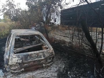 Палили суху траву: під Києвом згоріла частина села – будинки, сараї та автомобіль. ФОТО
