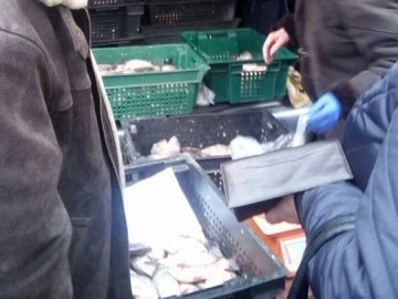 На подвір'ї госпіталю в Луцьку торгували рибою сумнівної якості