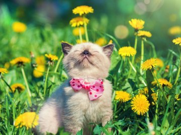 Погода на завтра, 10 травня, у Луцьку та Волинській області