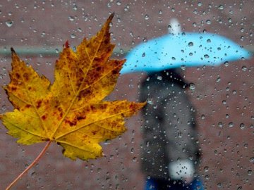 Погода на завтра, 2 жовтня, у Луцьку та Волинській області