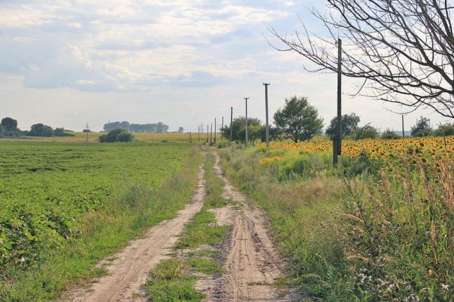 Мальовнича та неповторна природа волинського села. ФОТО