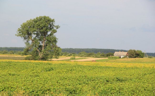 Мальовнича та неповторна природа волинського села. ФОТО