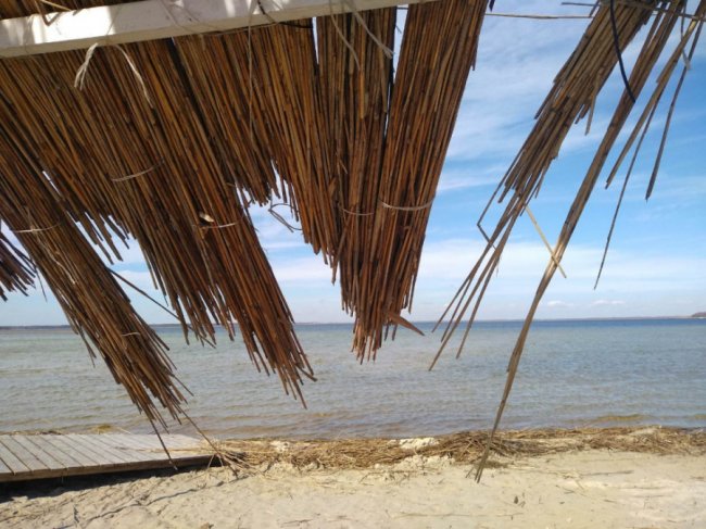 В мережі показали вже весняний Світязь. ФОТО