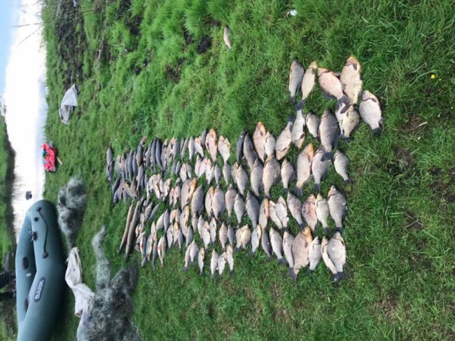 У нацпарку на Волині затримали браконьєрів, які ловили рибу сітками із човна. ФОТО