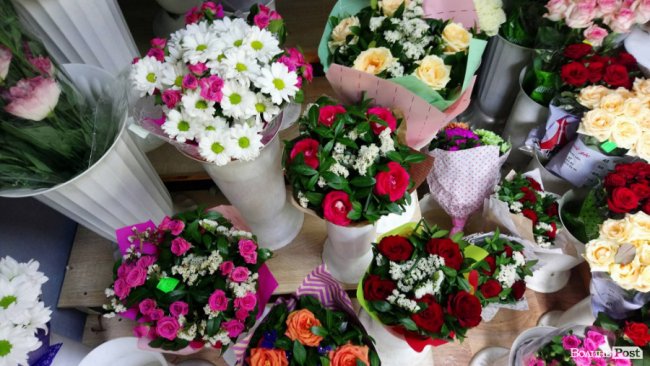 «Квітковий бум» на перший дзвоник: ціни в Луцьку. ФОТО