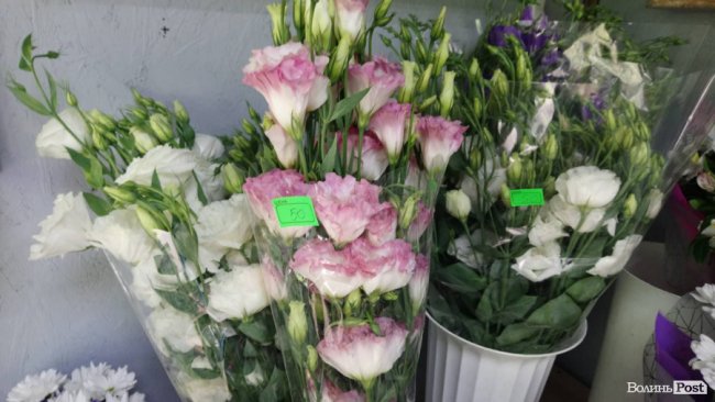 «Квітковий бум» на перший дзвоник: ціни в Луцьку. ФОТО