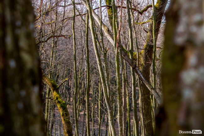 Перший день весни у «волинській Швейцарії». ФОТОРЕПОРТАЖ