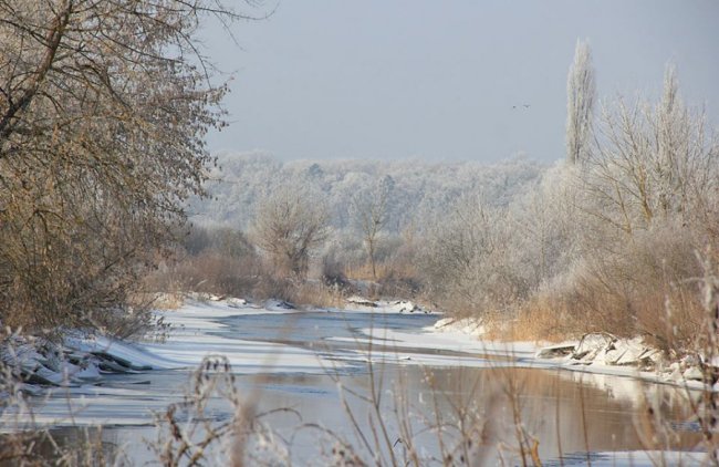 Казковий Стир скувало кригою. ФОТО