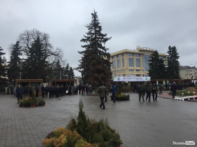 Луцьк приймає лісівників з усієї України. ФОТО