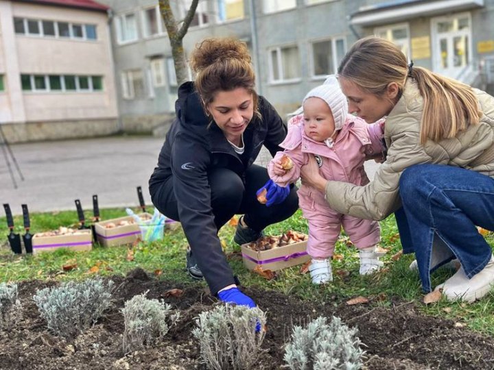 У Луцьку клумбу з тисячі тюльпанів присвятили передчасно народженим дітям
