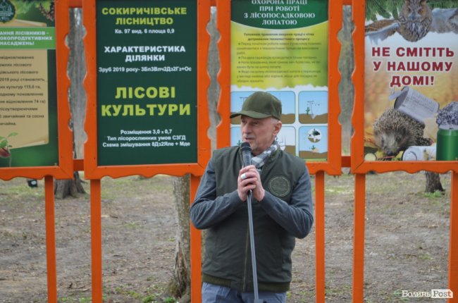 У гумових чоботах і з мечами в руках: як Савченко і волинські «віпи» садили ліс. ФОТО