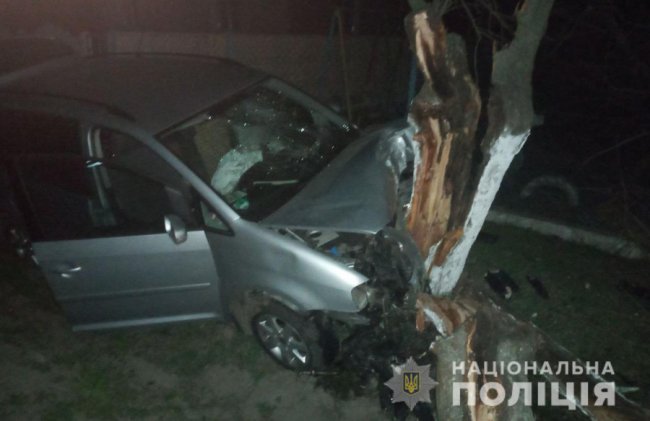 У селі під Луцьком п'яний водій за кермом Volkswagen врізався у дерево. ФОТО