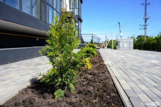 Здача нового будинку і озеленення території: затишне і сучасне житло у ЖК «Західний Олімп» під Луцьком*