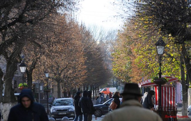 Луцький фотограф поділився світлинами морозного листопаду