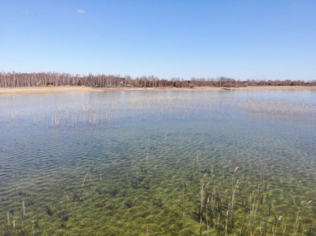Захопливі краєвиди безлюдного Світязю з висоти пташиного польоту. ФОТО