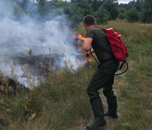 На Волині через підпал трави згоріло два будинки. ФОТО