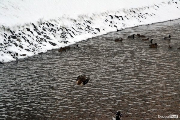 Фото снігового ранку в Луцьку