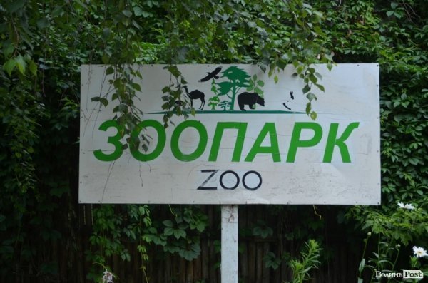 Луцький зоопарк планували розширити ще за Кривицького. ФОТО