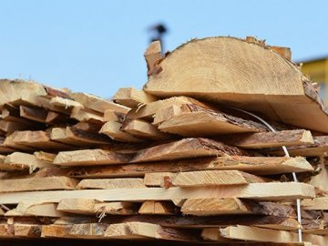 «Тверде паливо допоможе пережити зиму», – головний лісівник Волині. ФОТО