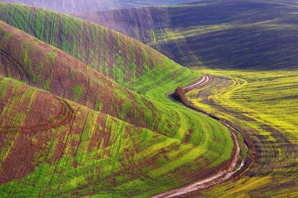 Фотовиставка Тараса Цибуха