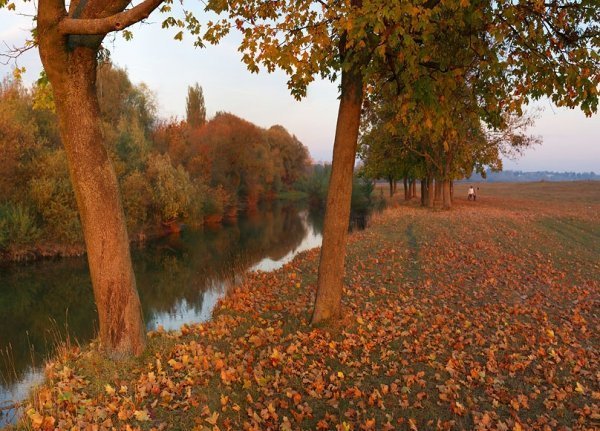 Фотовиставка Тараса Цибуха