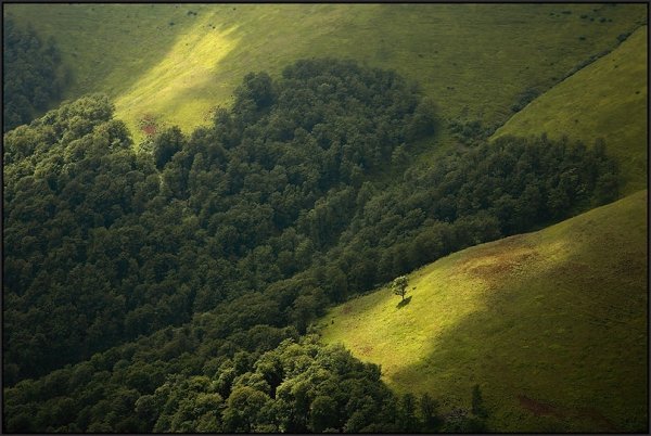 Фотовиставка Тараса Цибуха