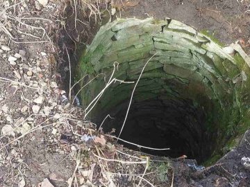 Вкинула двох собак у колодязь: волинянку судять за жорстоке поводження з тваринами