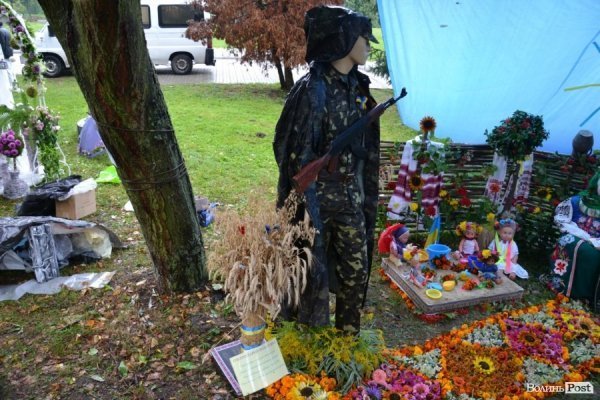 У Луцьку  - квіткова виставка до Дня Незалежності. ФОТО