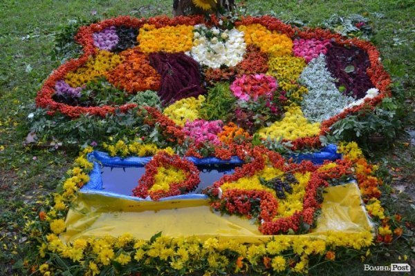 У Луцьку  - квіткова виставка до Дня Незалежності. ФОТО