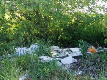 У Луцьку і на околицях міста розвели стихійні сміттєзвалища. ФОТО