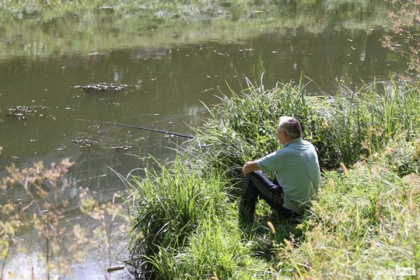 День міста: лучани  на природі. ФОТО
