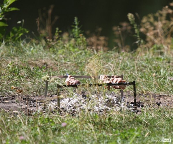 День міста: лучани  на природі. ФОТО