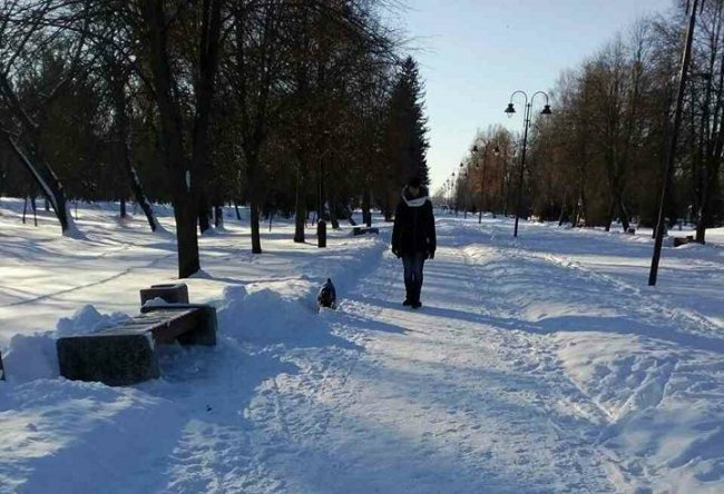 Муніципали полювали на лучан, які не прибирають за собаками