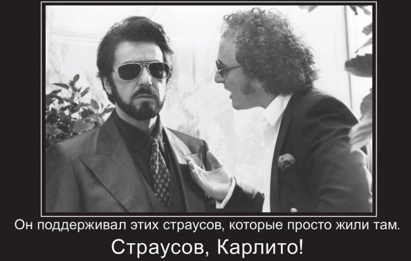 «Підтримувач страусів»: у Мережі висміяли інтерв'ю Януковича. ФОТО