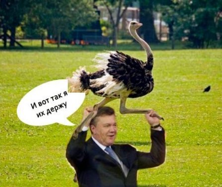 «Підтримувач страусів»: у Мережі висміяли інтерв'ю Януковича. ФОТО