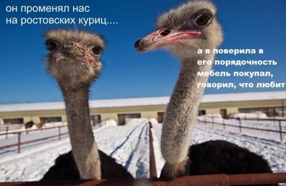 «Підтримувач страусів»: у Мережі висміяли інтерв'ю Януковича. ФОТО