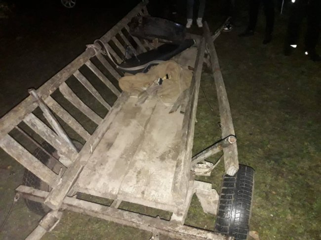 16-річний мотоцикліст загинув під час зіткнення з підводою на Волині