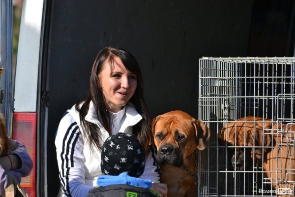 Автомотофестиваль під Луцьком: день другий. ФОТО