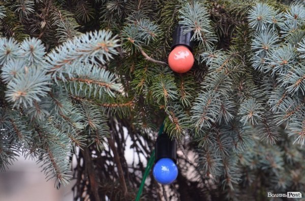 Луцьк не готовий до Нового року. ФОТО 