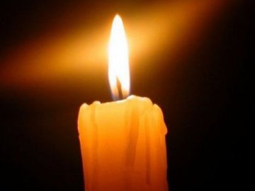 На Волині загинув лісоруб