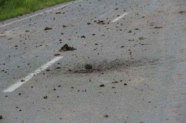 Спадщина слов'янських терористів. ФОТОРЕПОРТАЖ