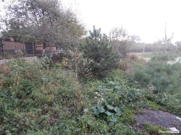 У Луцьку - конфлікт через дитячий майданчик. ФОТО