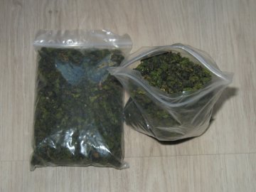 На «Ягодині» службовий пес знайшов у чоловіка марихуану