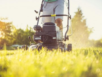 Як обрати газонокосарку самостійно: поради від інтернет-магазину Foroom*