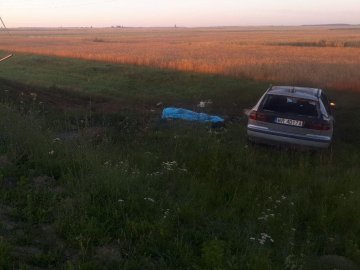 На Волині за 7 місяців на дорогах загинуло 69 людей