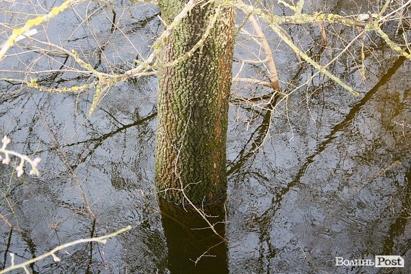 Повінь у Луцьку. ФОТО. ВІДЕО