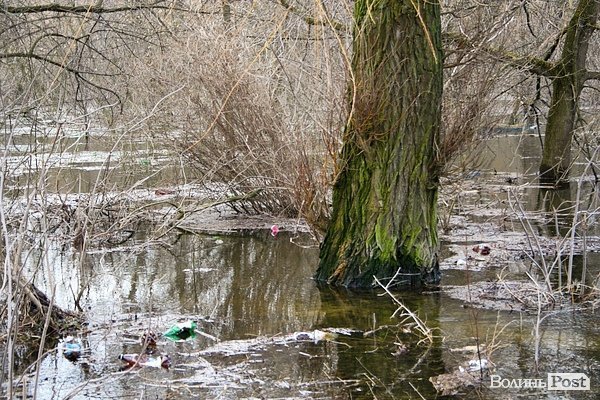 Повінь у Луцьку. ФОТО. ВІДЕО