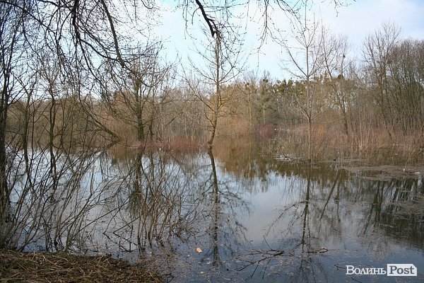 Повінь у Луцьку. ФОТО. ВІДЕО