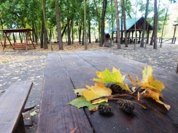 Атмосферні осінні світлини лісових рекреаційних зон на Волині. ФОТО