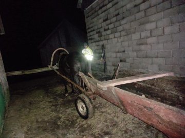 На Волині чоловік вкрав в односельця коня з возом
